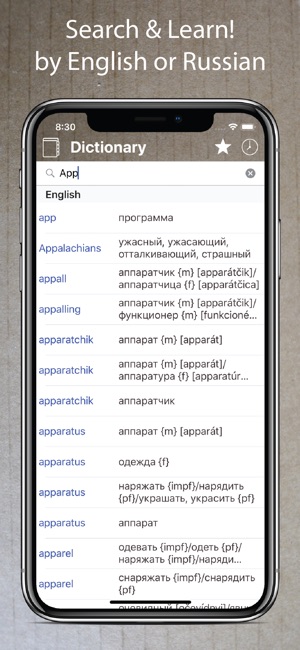 Russian English Dictionary +