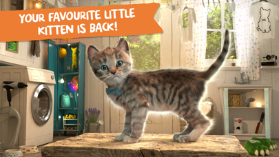 Little Kitten Adventures Screenshot 1