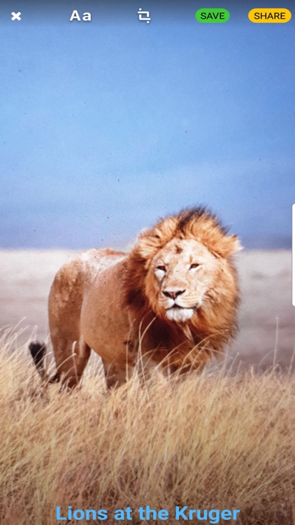 CapToCam screenshot-3