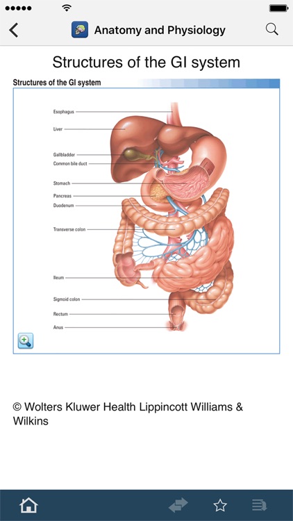 Anatomy & Physiology Made Easy