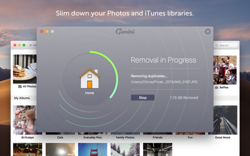 Gemini_2_The_Duplicate_Finder.app caprure 3 3_Gemini_2_The_Duplicate_Finder.jpg