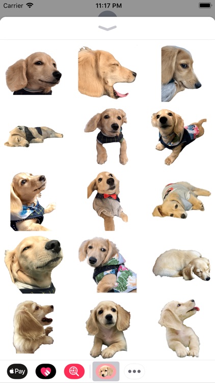 Cleo Daily Sticker Puppy Era