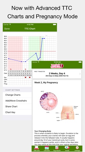 Pregnancy Period Chart