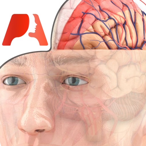 Pocket Brain－インタラクティブ神経解剖学