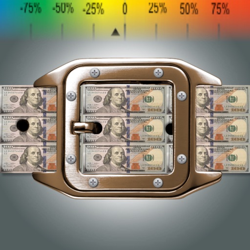 MoneyBelt