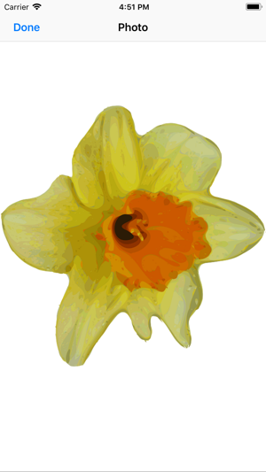 Daffodil Sticker Pack(圖2)-速報App