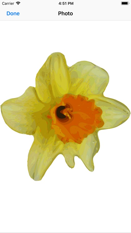 Daffodil Sticker Pack