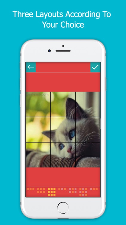 Grid Post Photo for Instagram