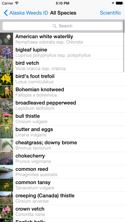 Alaska Weed ID screenshot-3