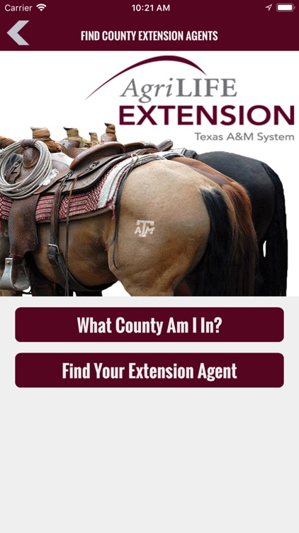 Texas Horse Help screenshot-3