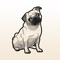 React with cute Pug Dog Stickers and Emojis Pack