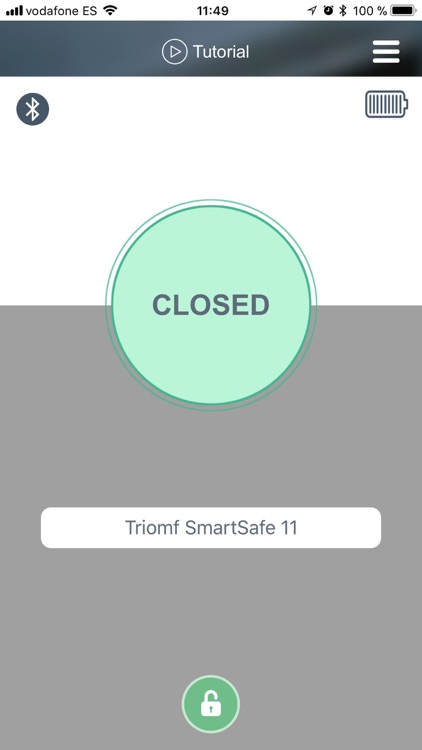 Triomf Smart Safe