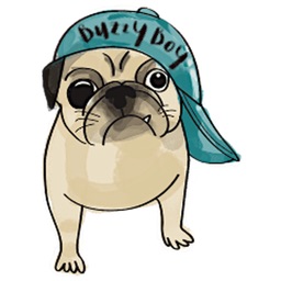 Buzzy Boy a Cute Pug Dog Sticker