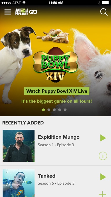 Animal Planet GO