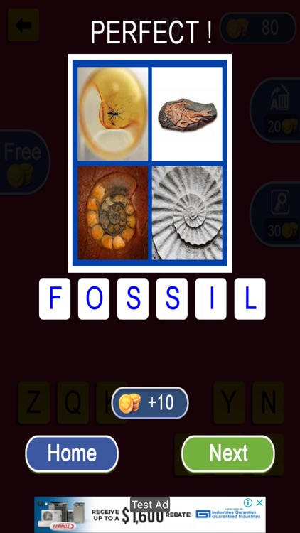 4 Pics 1 Word Brain Quiz screenshot-6