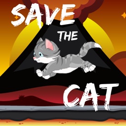 Save this cat