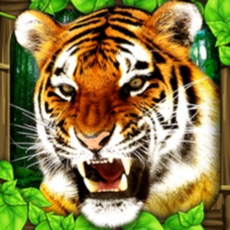 Activities of Tiger Simulator