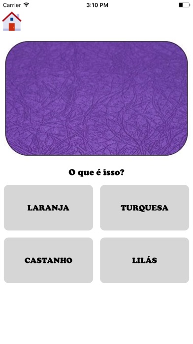 Learn Portuguese - Basic Words screenshot 3