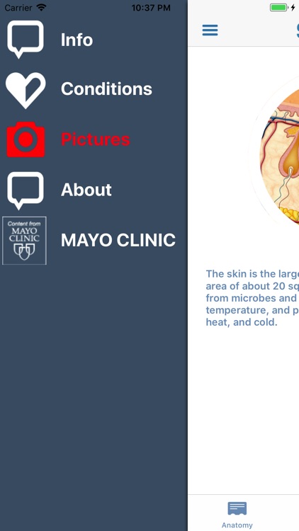 Skin Doctor