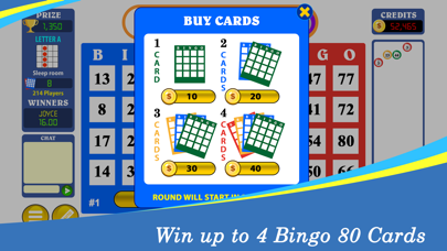 Bingo Eighty™ screenshot 4