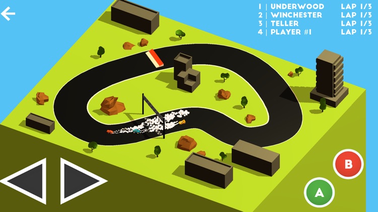 Tiny 3D Car Racing Chase Rider screenshot-3