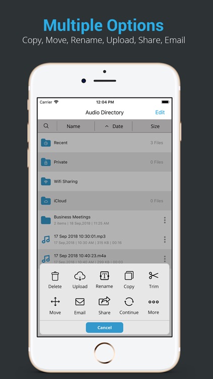 Audio Recorder HD & Voice Memo