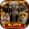 Safari Sundown Slots Casino