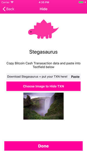 Stegasaurus(圖2)-速報App