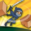 Icon Box Ninja GO!