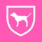 Exclusive access for PINK's #1 fans