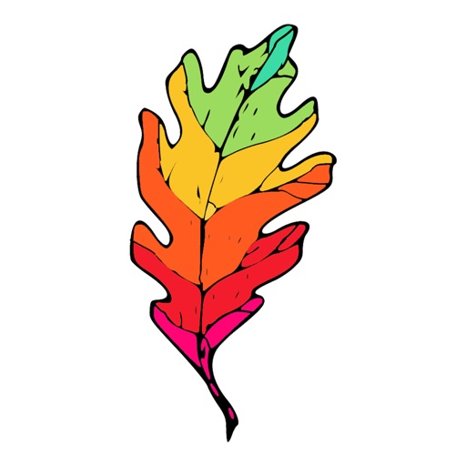 Coloring Book Color Pages Fill
