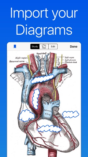 Anatomy and Physiology GO(圖2)-速報App