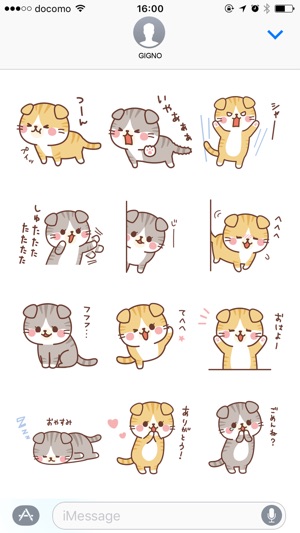 Fluffy Scottish Fold(圖3)-速報App