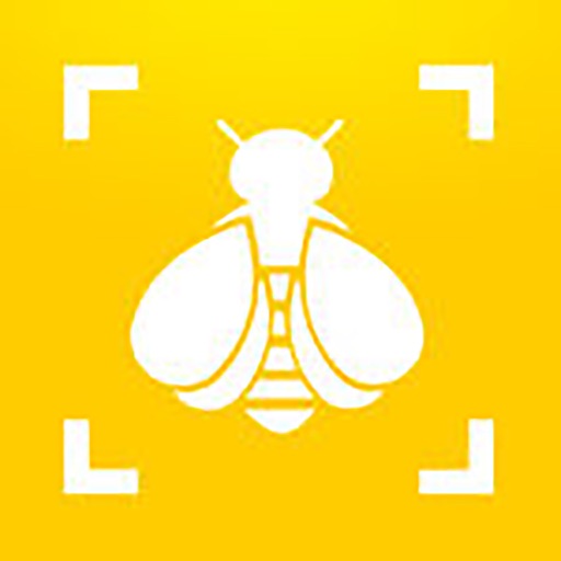 Bumble Bee Watch iOS App