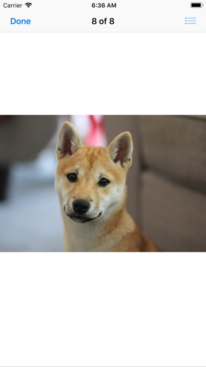 Shiba Inu Sticker Pack screenshot-9