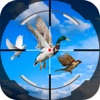 Shoot Fly Bird 3D