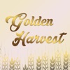 Golden Harvest Bloomfield