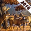 Jungle Deer Hunter 2018