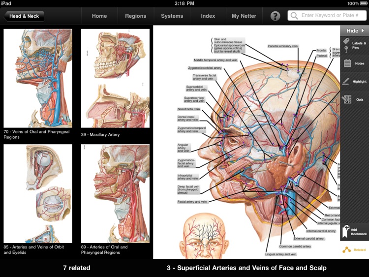 Netter's Anatomy Atlas