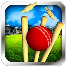 Activities of Cricket Run Out 3D