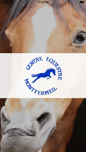 CENTRE EQUESTRE DE MONTFERMEIL