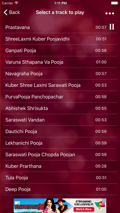 Devi Stuti and Mantras screenshot 3
