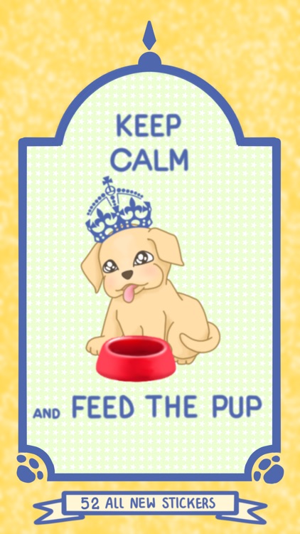 Pip the Labrador Pup