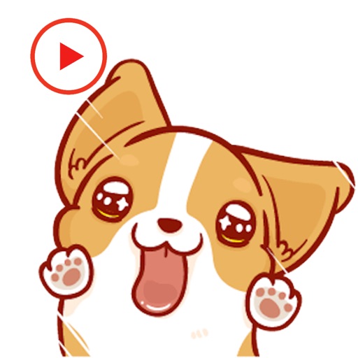 Corgi Dog Animated Stickers