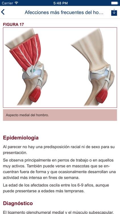 Boehringer Journal Report screenshot-3