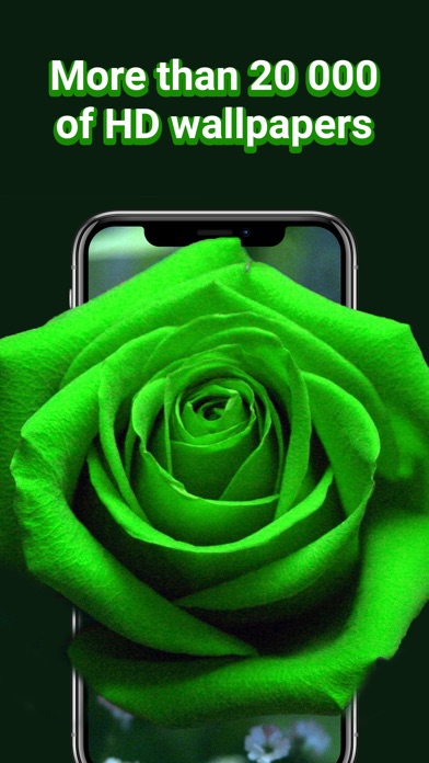 ss1