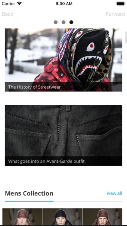 Fashionista Grail