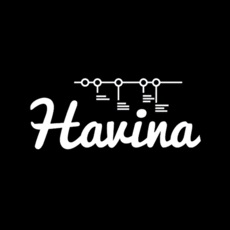 Activities of Havina