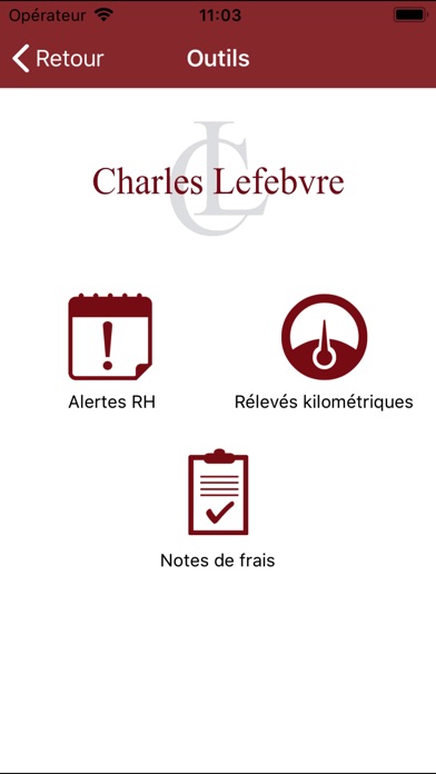 Cabinet Charles Lefebvre screenshot 2