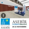 VII Congreso Asebir 2013